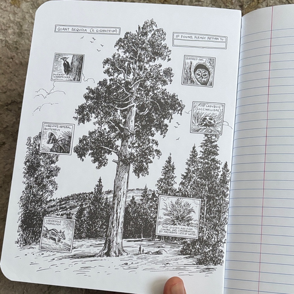 Decomposition notebook - Picture 2 of 5